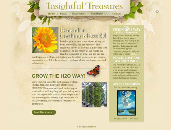 Insightful Treasures website