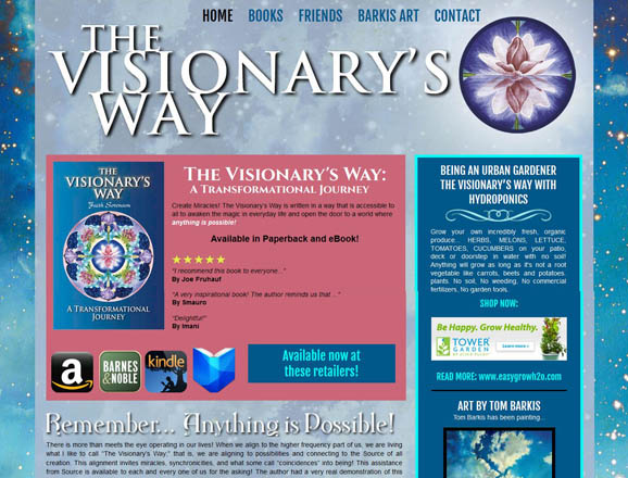 The Visionary's Way website